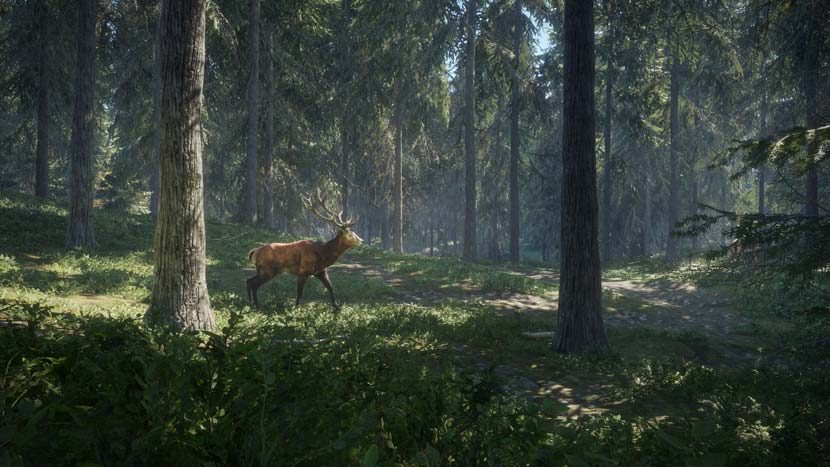 the-hunter-call-of-the-wild-pc-game-full-crack-8794339