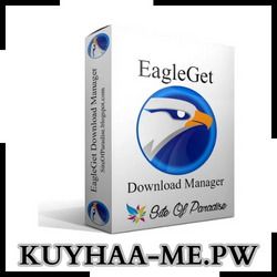 eagleget download