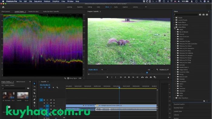 Adobe Premiere Pro CC