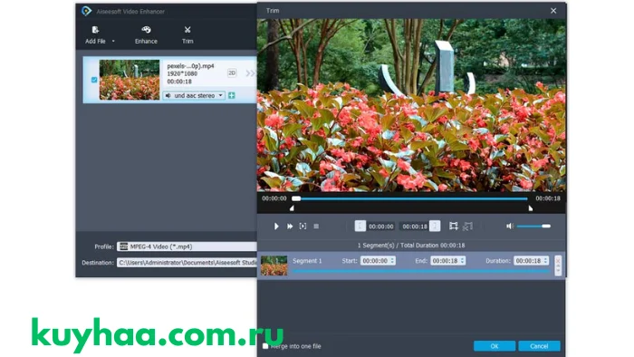 Aiseesoft Video EnhancerAiseesoft Video Enhancer
