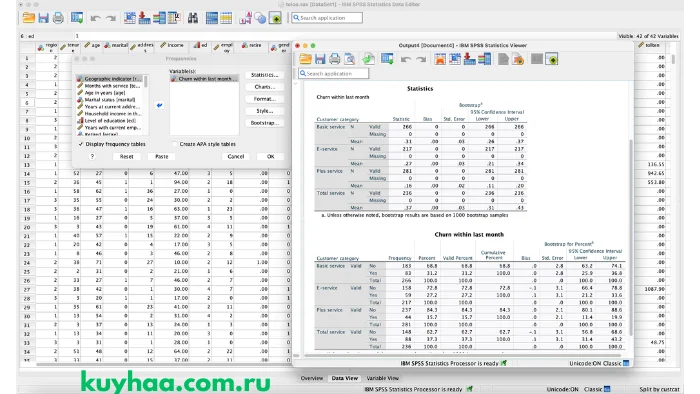 IBM SPSS Statistics