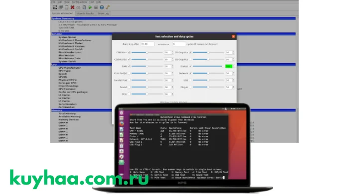 PassMark BurnInTest Pro