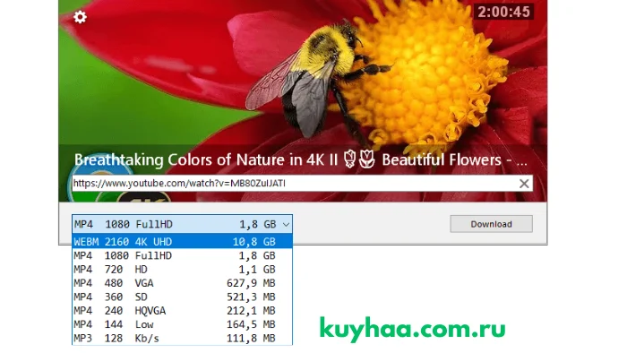 Ummy Video Downloader