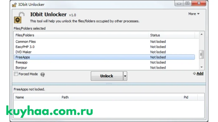 iObit UnLocker